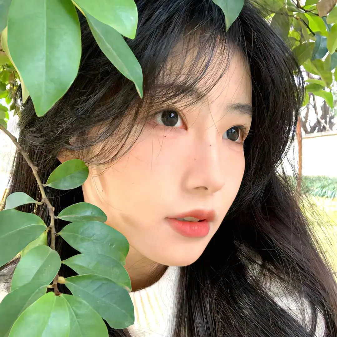 柏油探戈